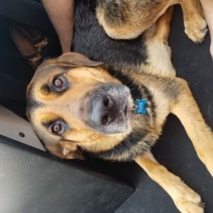 Meet your Posher, Morgan